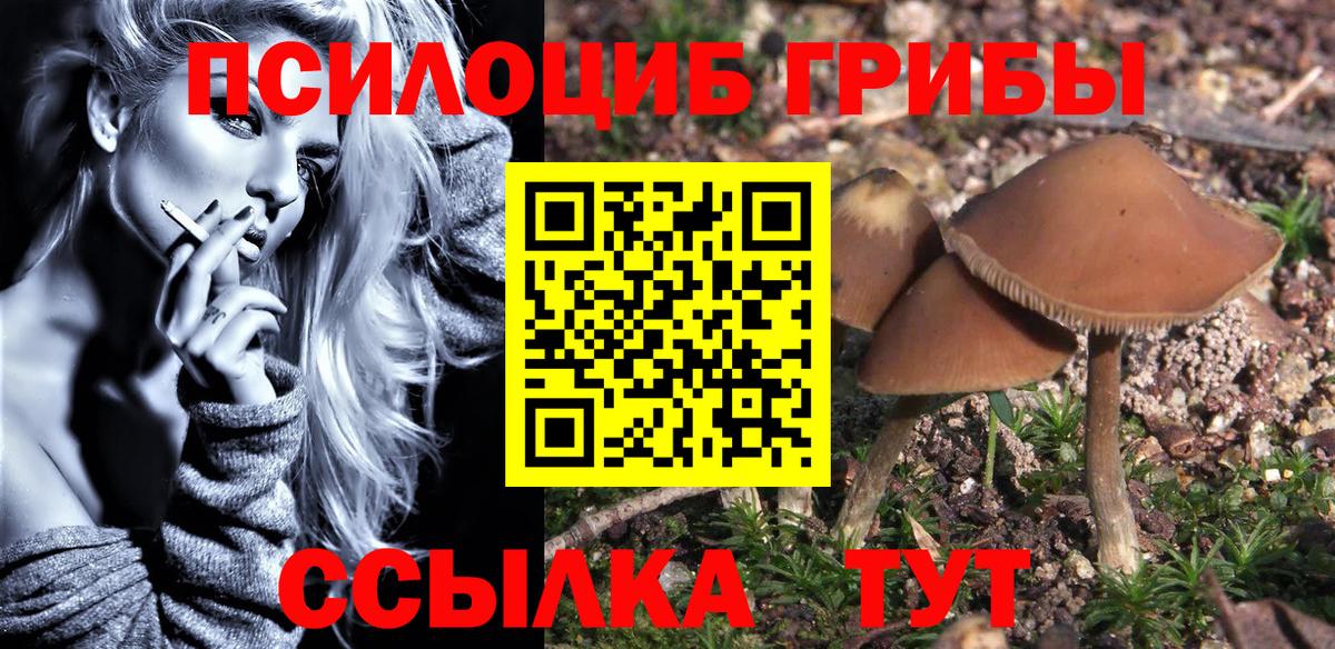 Галлюциногенные грибы ЛСД  Вход с VPN  Саки 