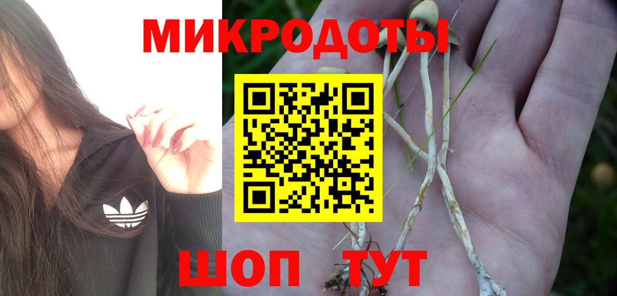 Галлюциногенные грибы Cubensis Саки