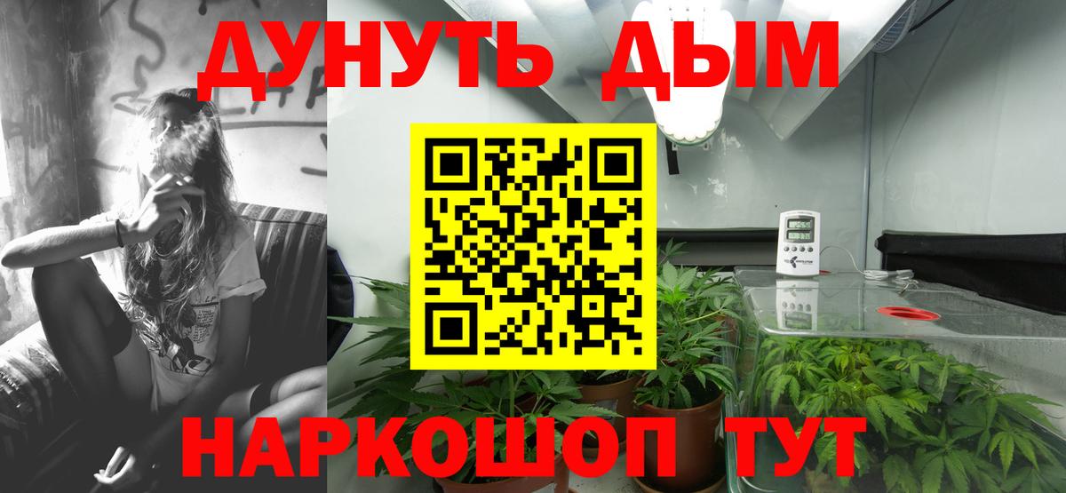 Канабис семена Саки